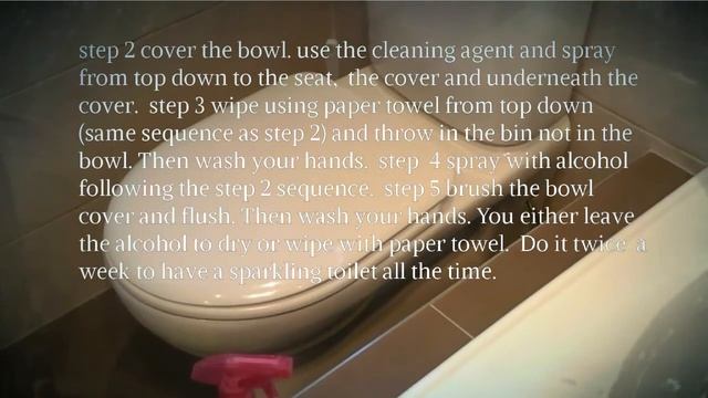 How to Clean the toilet less than 5 minutes