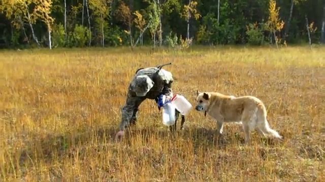 11-01-2025поездка за клюквой