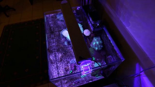 comboray tank project, amazing LED lighting!