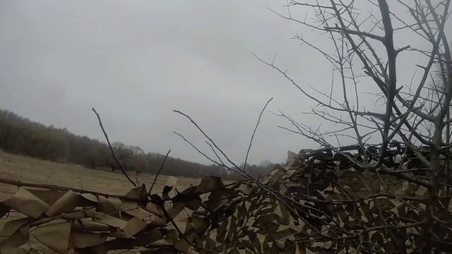 1000030306.mp4