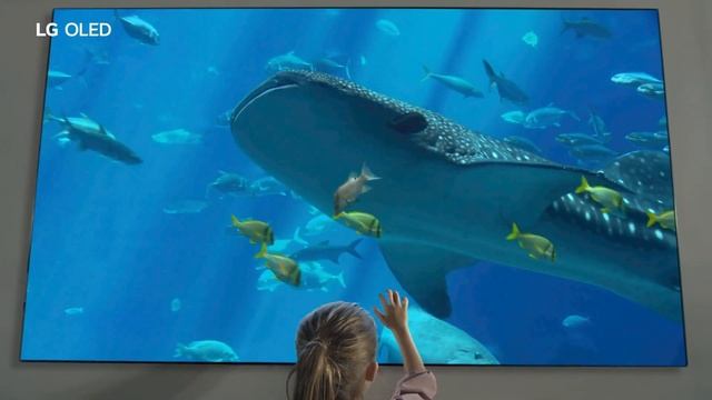 Televisores LG Oled en Alkosto