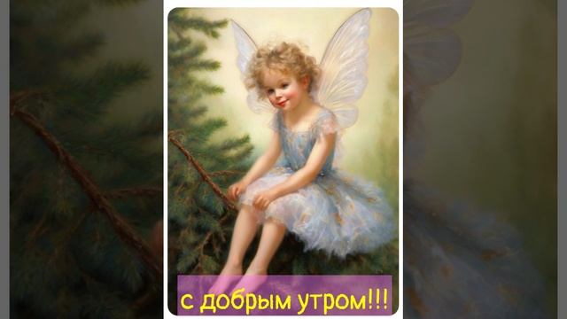video20250103_195630.mp4