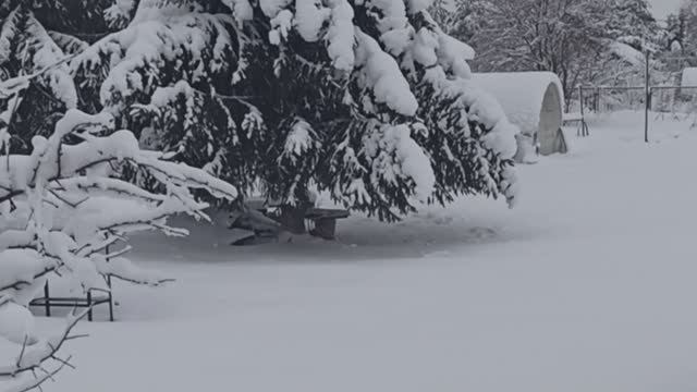 А за городом зима, зима, зима...!
