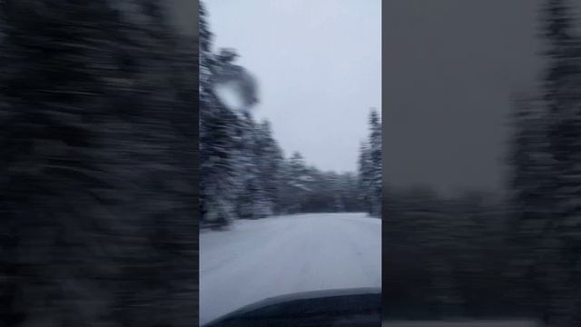 Карелия