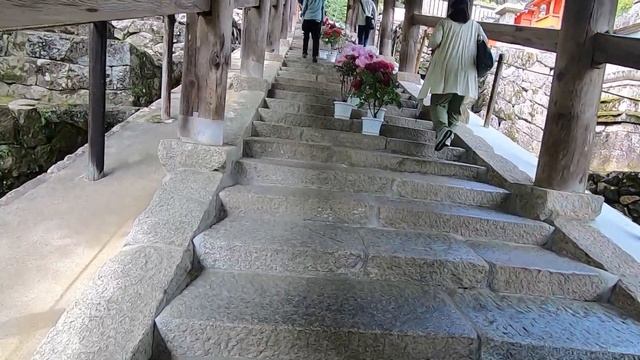 第八番「長谷寺」バイクで行く西国三十三所巡礼ー第八番真言宗豊山長谷寺【バイ久と散歩。#89 with BMW C600S】