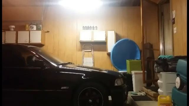 BMW 318ti No Exhaust Sound!