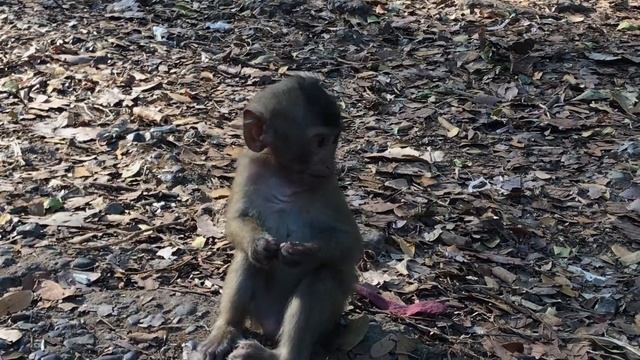 baby Rainbow very smart & she love to play