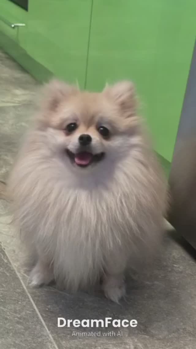 Лиза