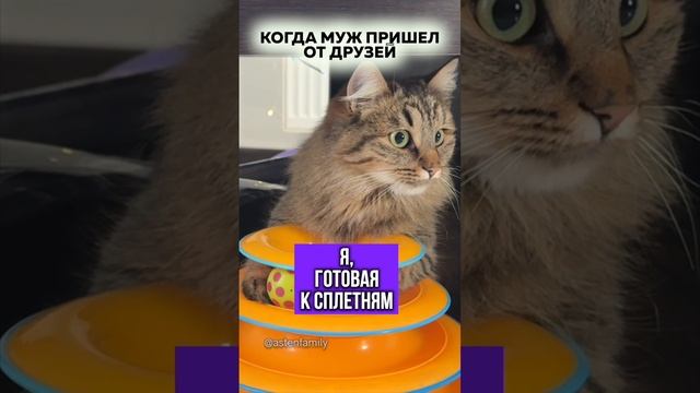 Готова к сплетням