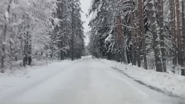 Зимняя дорога в детский сад