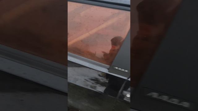 1000051646.mp4