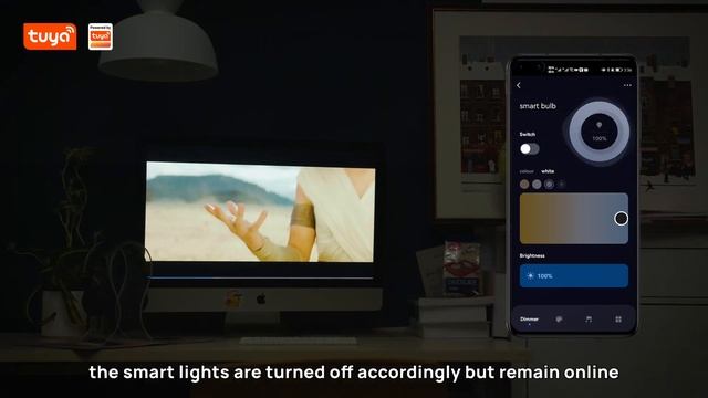 Tuya Smart Switch Compatible with Smart Lighting