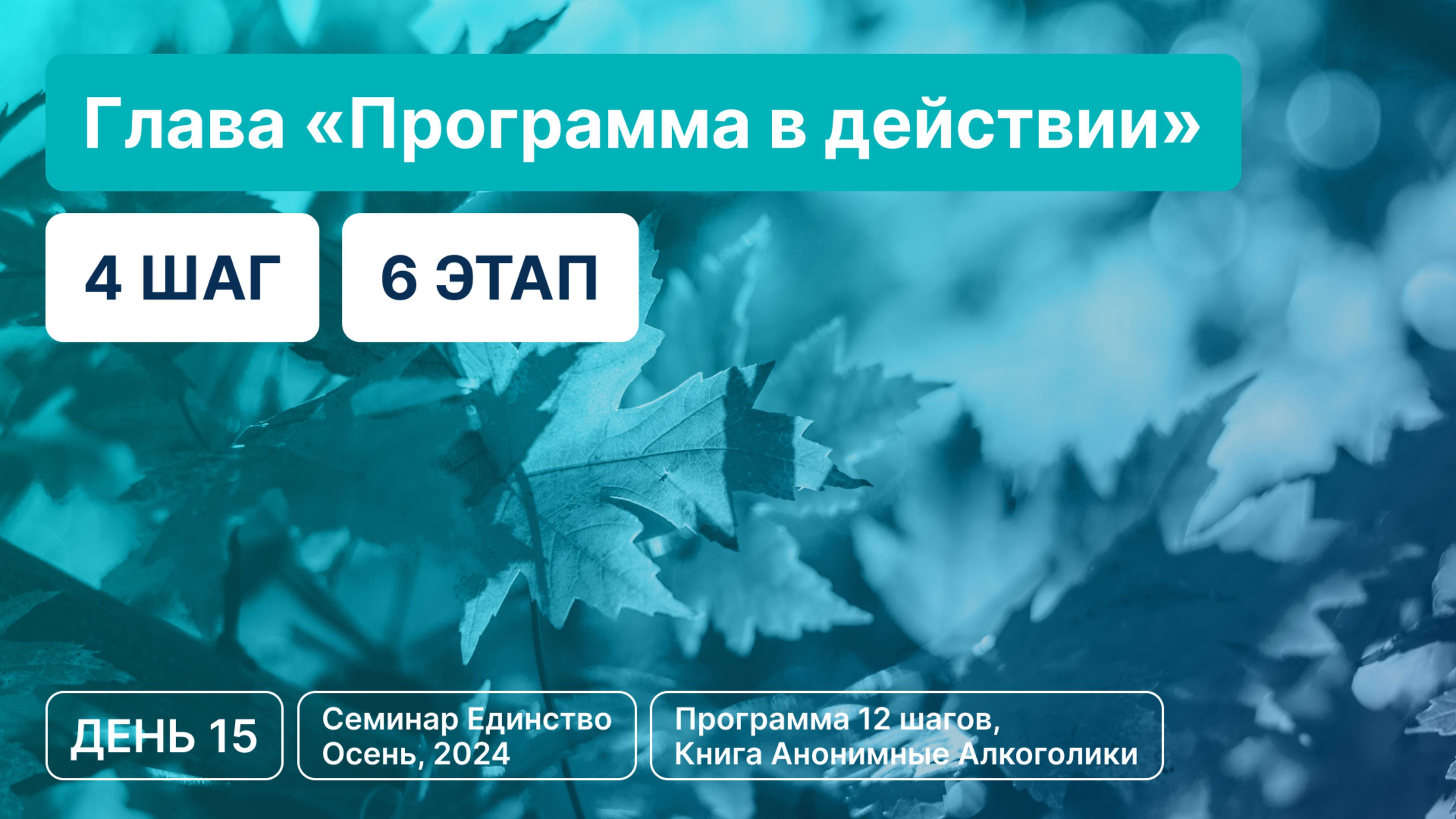 День 15 - Глава «Программа в действии» (4 шаг 6 этап)