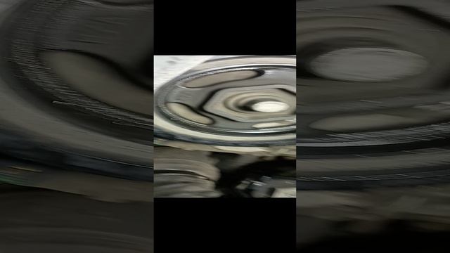 1000129512.mp4