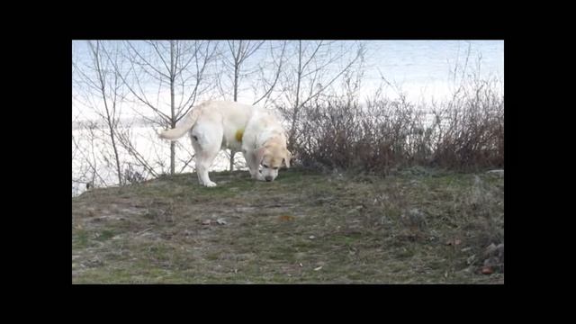 Эмма и Сафиша , декабрь 2018