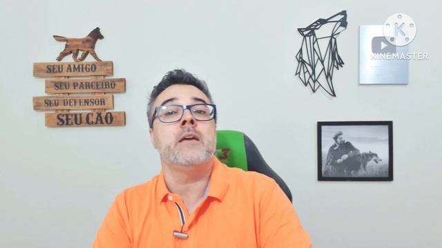 5 melhores RAÇÕES FILHOTES!!!