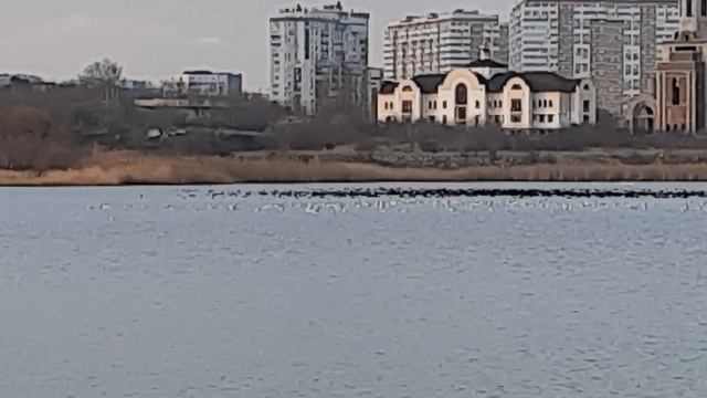 Суджукская лагуна