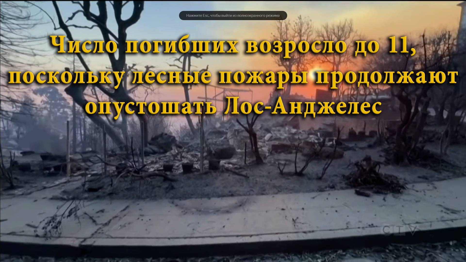 Число погибших возросло до 11, лесные пожары продолжают опустошать Лос-Анджелес
Los Angeles