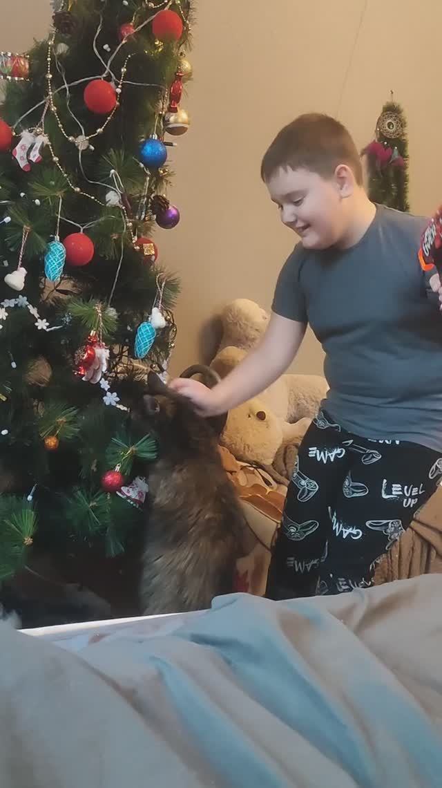 новогодний файт