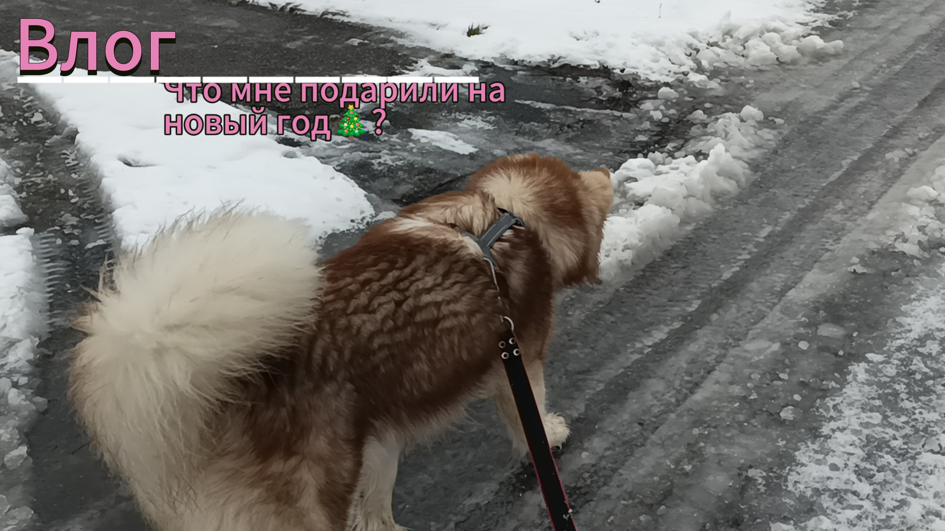 Влог. Что мне подарили на новый год🎁? 11.01.2025