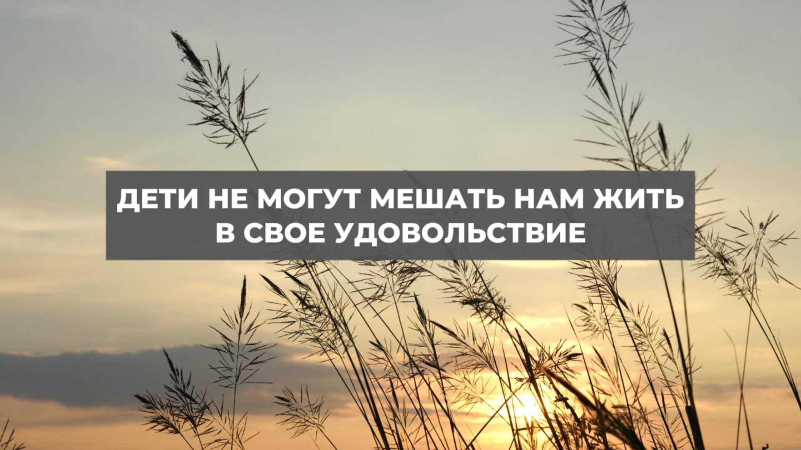 Дети не могут мешать нам жить в свое удовольствие. Проект 2А. Путь к себе