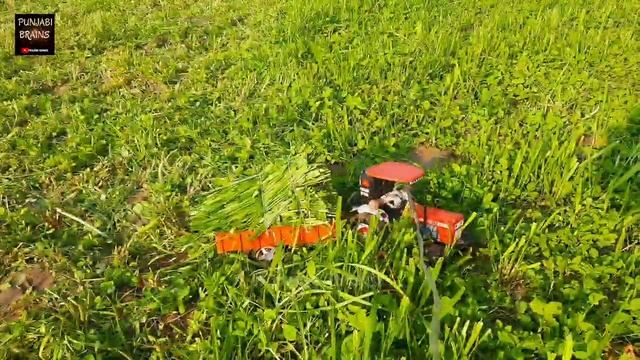 Mini Tractor models pulling loaded trolley with grass