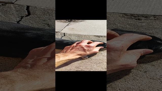 Щенок (мальчик) в добрые руки.mp4