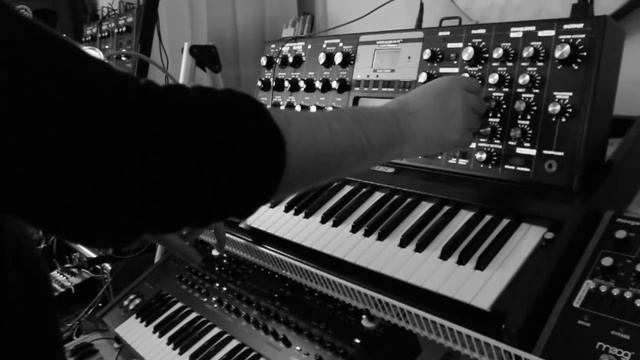 Improvisation: Moog Voyager, DSI Pro 2, Yamaha MO8 and Eventide H9