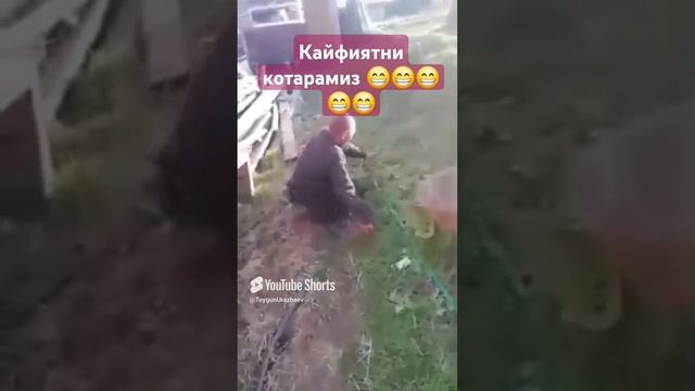 кайфиятни котарамиз 😁😁😁😁😁😁😁