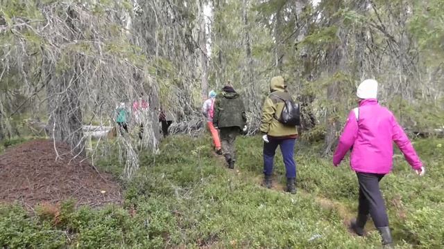 Больше чем путешествие