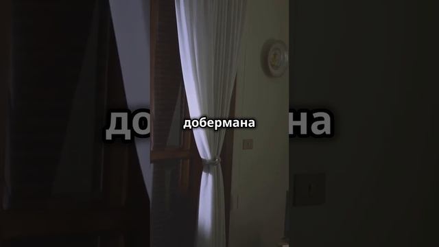 ПОСЛЕДНИЕ СЛОВА    Людей  Ч1