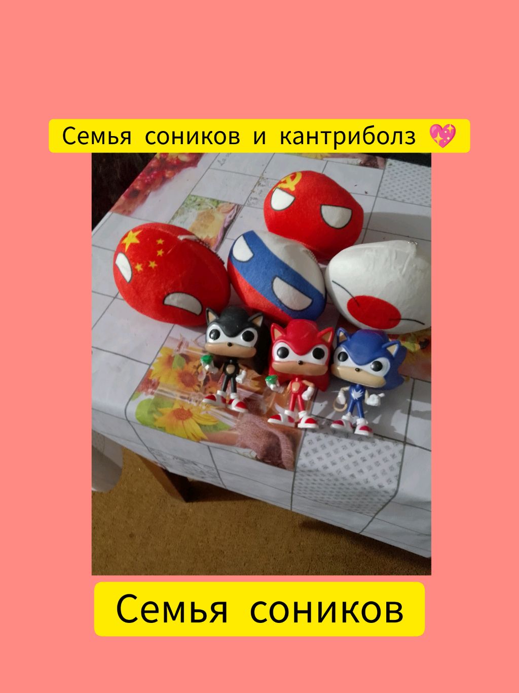 семья Соников в прямом эфире!