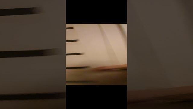 саша новый человек в команде  видиоо