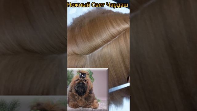 1000066721.mp4