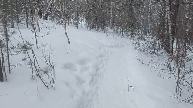 Все так и было