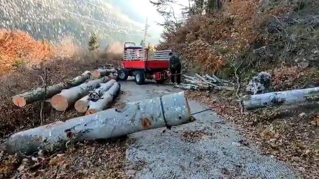 motoagricola carraro 3700 con verricello💪