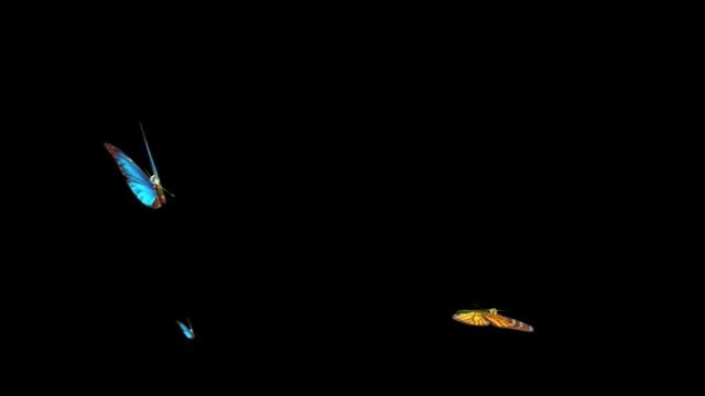 Butterflies with alpha channel. Бабочки с альфа каналом