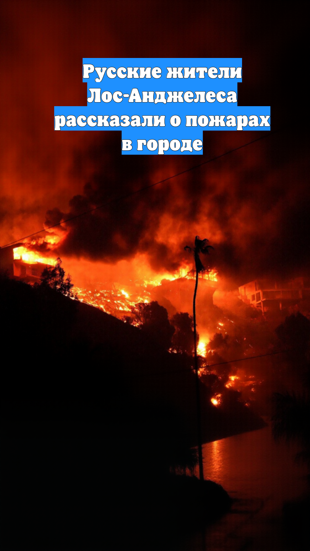 Русские жители Лос-Анджелеса рассказали о пожарах в городе