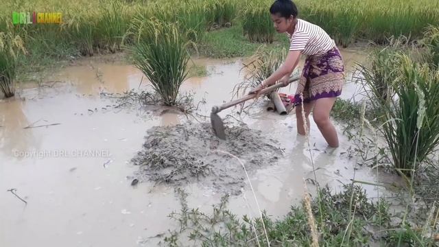 Amazing Smart Girl Catch fish Use Bamboo - How to Catch a lot of Fish in Cambodia style