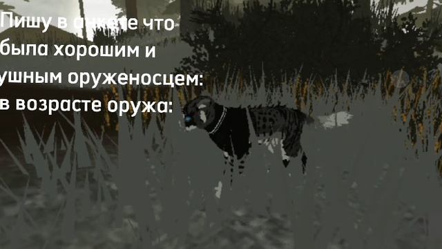 ЩА БУДЕМ ВСЕХ УБИВАТЬ! (смешное видео)