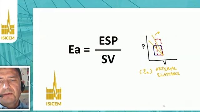 Assessment of shock integrating heart and circulation Fabio Guarracino (ISICEM 2020)