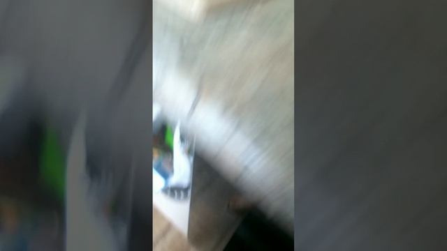 пробую чай с 3 практиками 2 часть