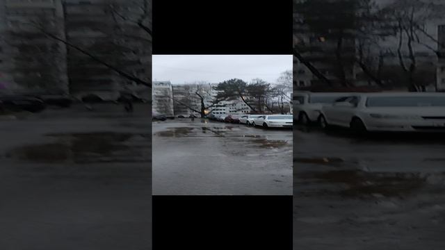 Звенят январские лужи...11.01.2025 Какие сюрпризы нам ещё приготовит погода? #дождливыйянварь