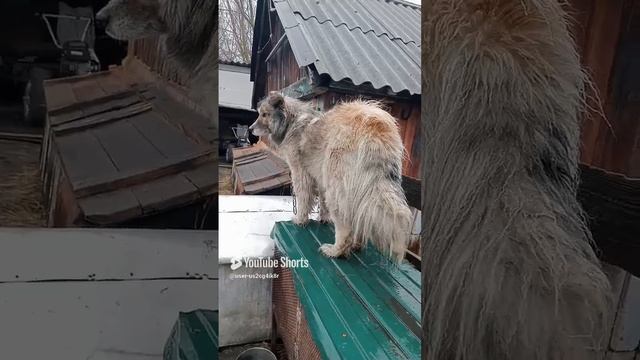 Вот такая дождливая погода у нас 🌧️☔