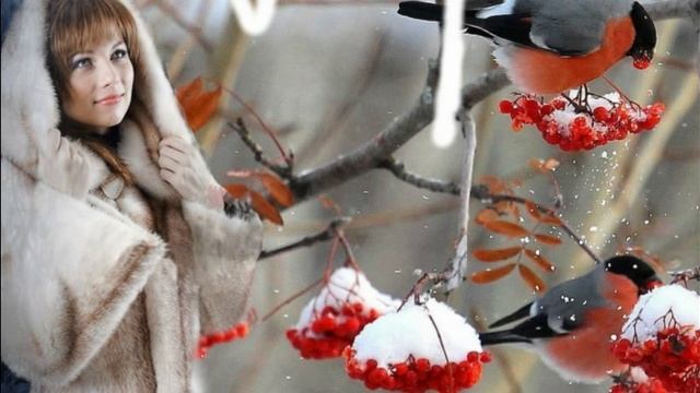 Костры на снегу... Лариса Мерзлякова