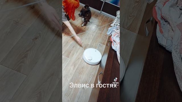 1000003248.mp4