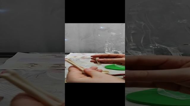анатомия