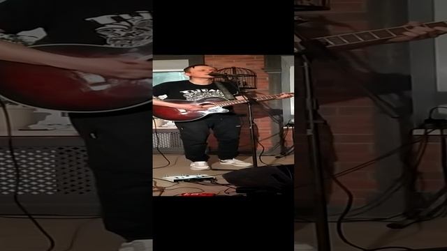 Дмитрий Дубров Plotnik82 (live, Vladimir'25).mp4