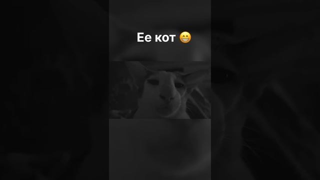 Мой #ТАЙ 🤍🐾