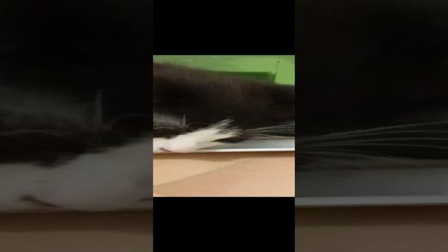 где хочу там и сплю 🤣